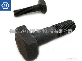 T型螺栓廠家直銷優勢解析 聚焦邯鄲市名創緊固件制造