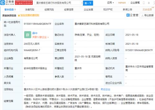 愛奇藝布局科技服務(wù)新領(lǐng)域 參股成立科技服務(wù)公司